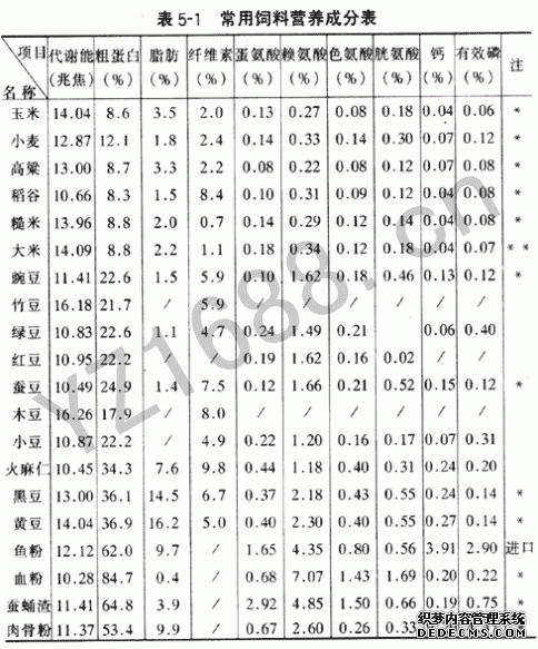 肉鸽饲养的日粮标准与配置