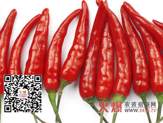 辣椒