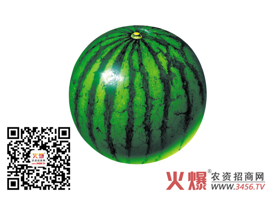 西瓜