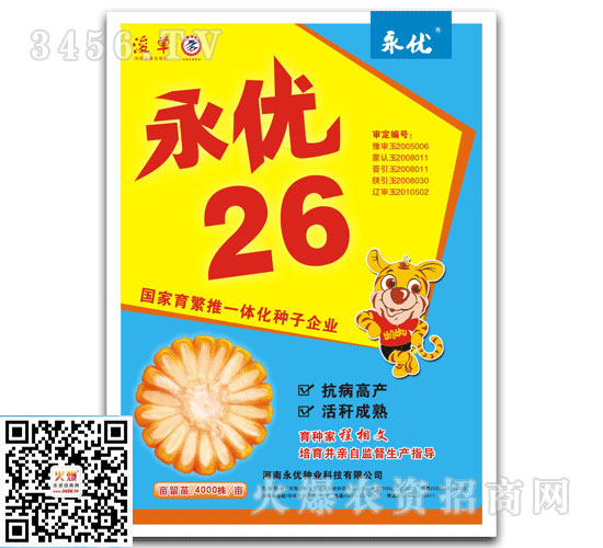 如何选择春播玉米种
