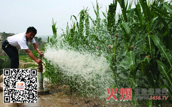 玉米灌溉方式