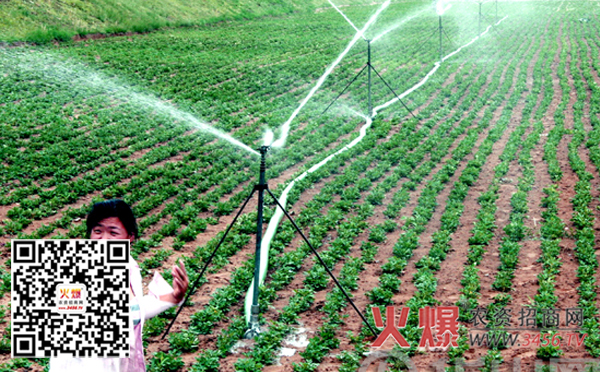 玉米灌溉次数与灌溉量