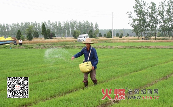 种水稻施什么肥好？