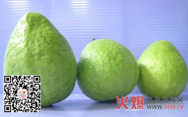 番石榴怎么吃