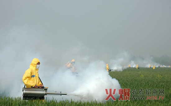 小麦吸浆虫防治时间