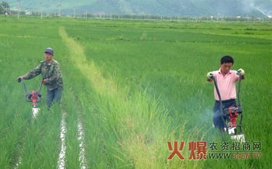 水稻除草剂的使用方法