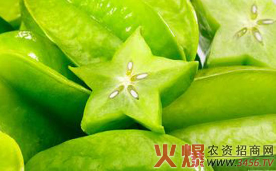 杨桃病虫害防治