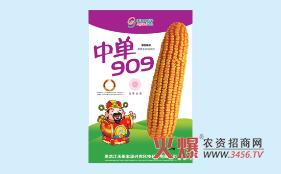 中单909玉米种怎么样，中单909玉米种