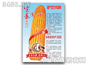 龙高L2玉米种怎么样，龙高L2玉米种介绍