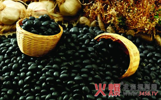 中国黑豆的主要产地