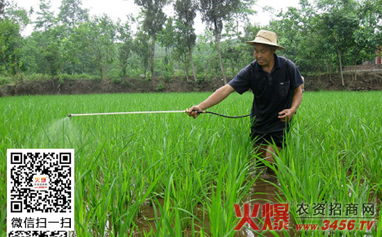 水稻坐蔸的预防措施