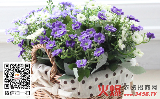 米兰花的施肥技术