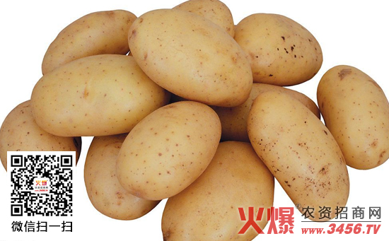 土豆的施肥方法