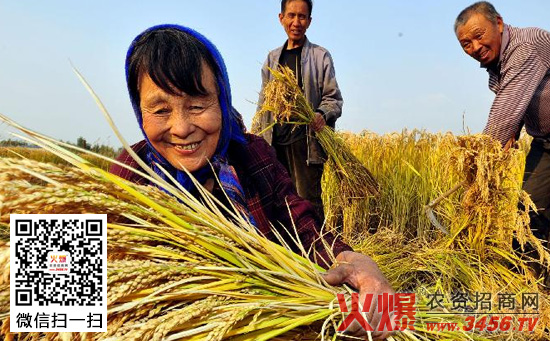 水稻产量估算方法
