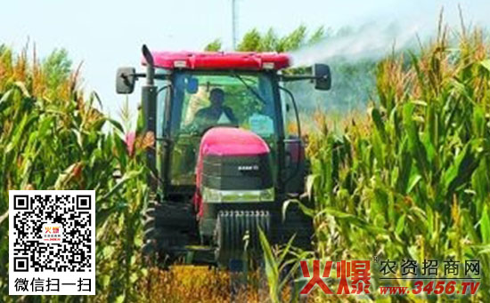 玉米地使用除草剂的技巧