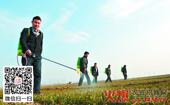 玉米地使用除草剂的技巧