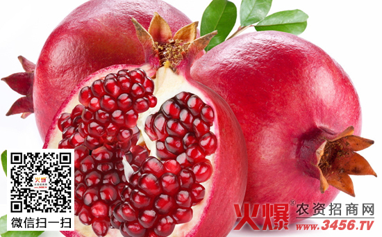 石榴保花保果措施
