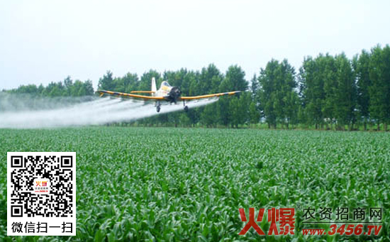 玉米化控放倒技术