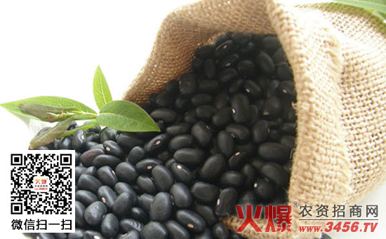 黑豆的功效与作用及食用方法