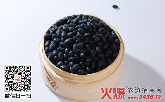 黑豆的功效与作用及食用方法