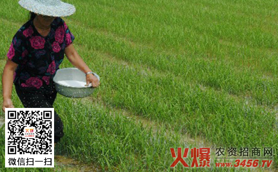 水稻使用锌肥的注意事项