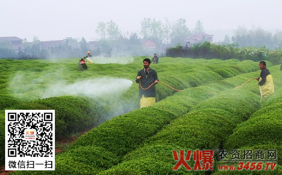 粉剂农药怎么用