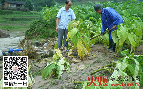 农药用错后的补救方法