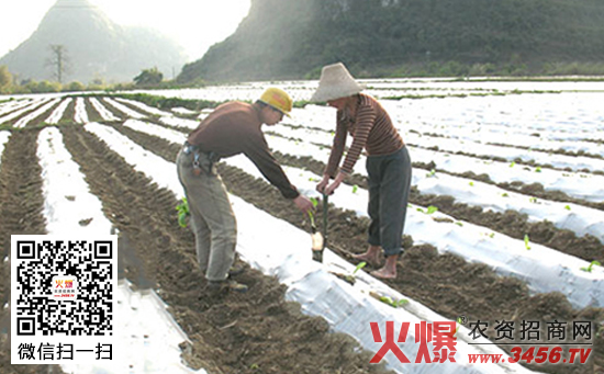 农膜上灌水的优点