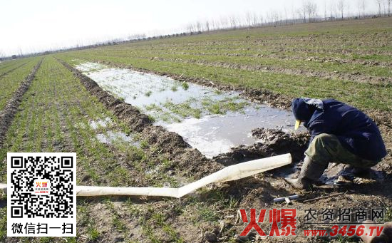 小麦封冻水何时浇好