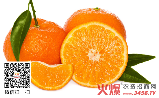 橘子、橙子、柚子的区别