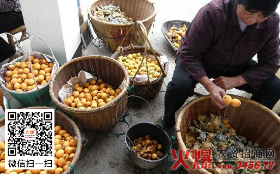枇杷的贮藏保鲜方法