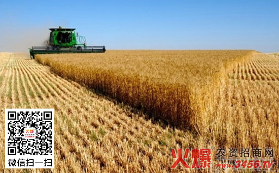 小麦联合收割机排草中夹带损失过高的解决办法