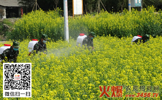 油菜菌核病的防治方法