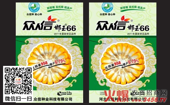 【邯玉66】邯玉66玉米种怎么样