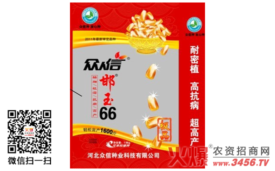 【邯玉66】邯玉66玉米种怎么样