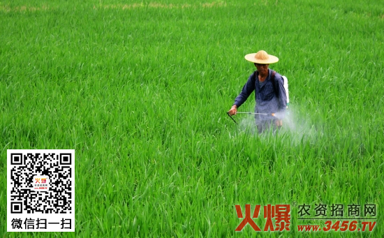夏季喷农药最佳时间