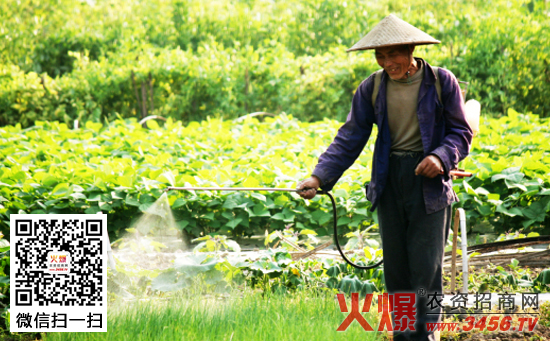 夏季喷农药最佳时间