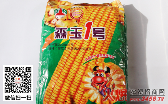 怎样做好玉米播种前种子准备工作