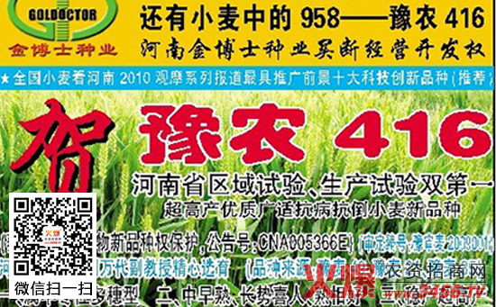 >> 小麦种植     豫农416小麦种子-基本资料   审定编号:豫审麦