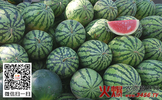 西瓜测土配方施肥技术