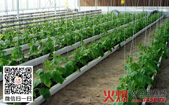 蔬菜灌溉施肥技术