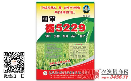 【衡5229】衡5229小麦种简介