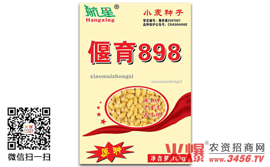 【偃育898】偃育898小麦种简介