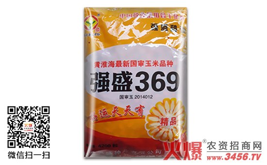 【强盛369】强盛369玉米种简介