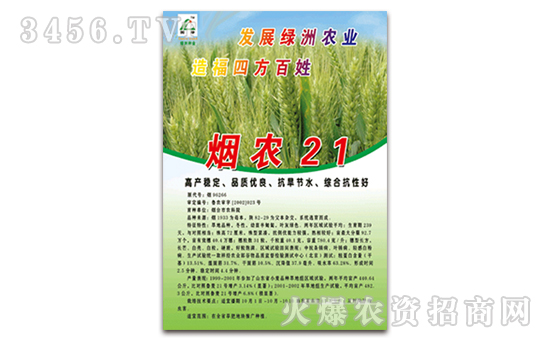 【烟农21号】烟农21号小麦种怎么样