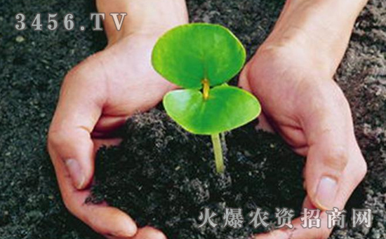 为什么要大力提倡施用有机肥料