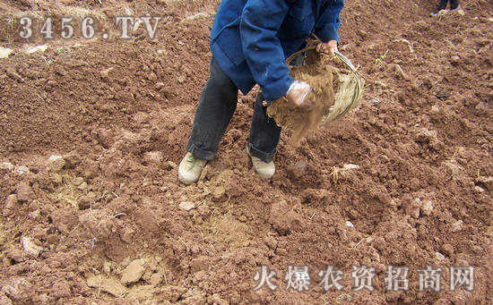 为什么要大力提倡施用有机肥料
