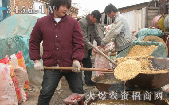 种子浸种如何催芽，种子浸种催芽方法和注意事项