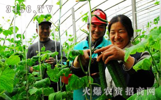 能不能把植物生长调节剂当肥料施用