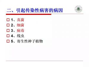 瓜类主要病害及解决方案